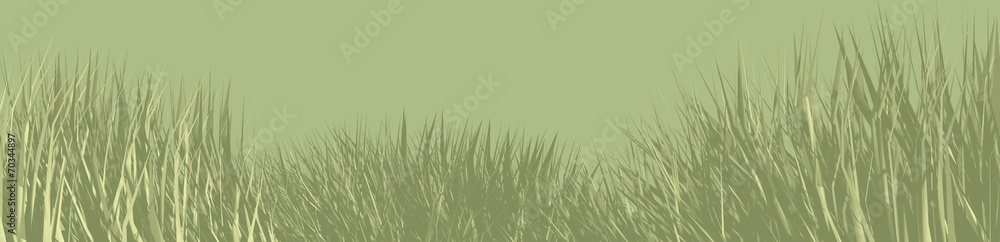 Naklejka premium panorama trawy