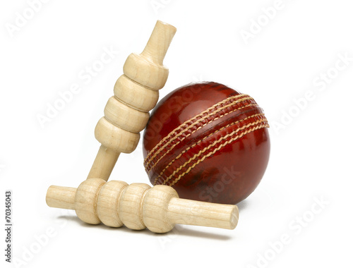 Cricket Ball