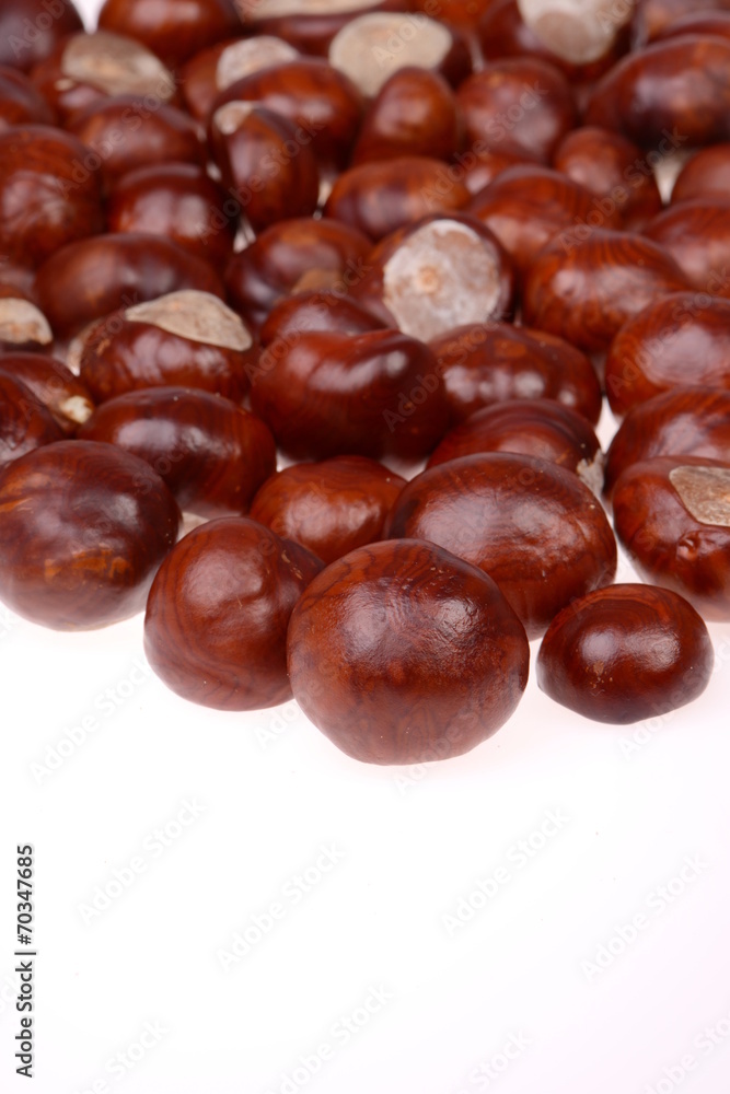 Chestnuts isolated on a white background Chestnuts isolated on a white background
