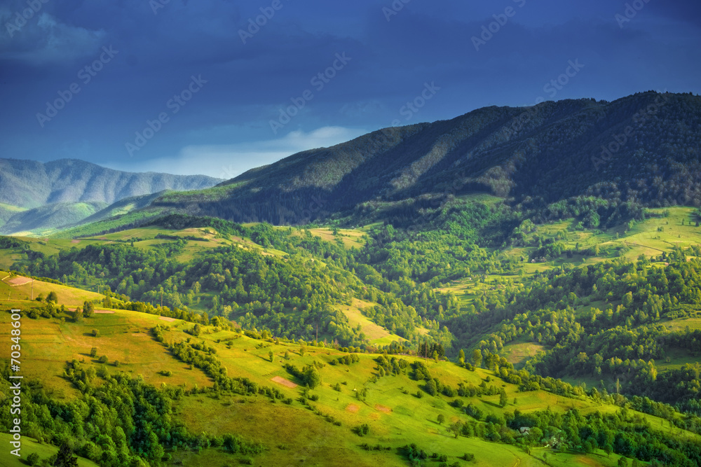 Beautiful summer landscape in Carpathian mountains