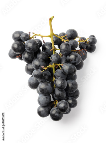 Dark purple grapes