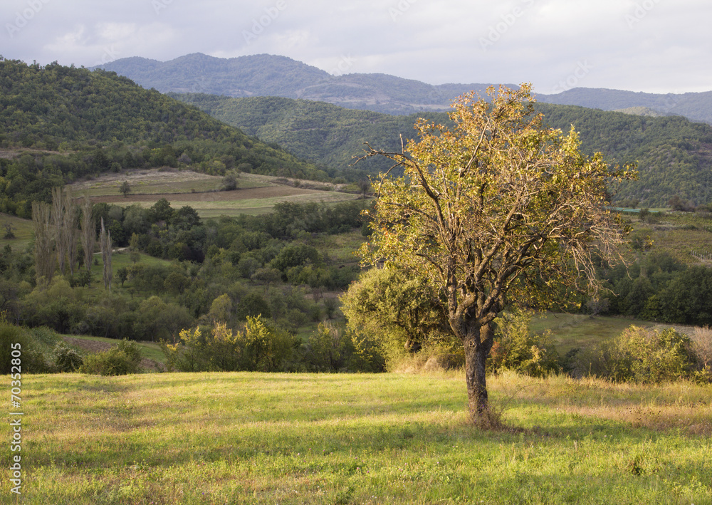 Beutiful landscape