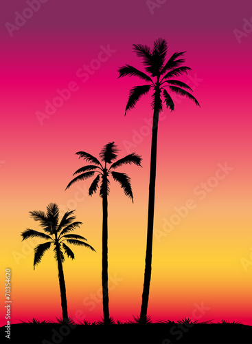 Tropical sunset with palm trees © PremiumGraphicDesign