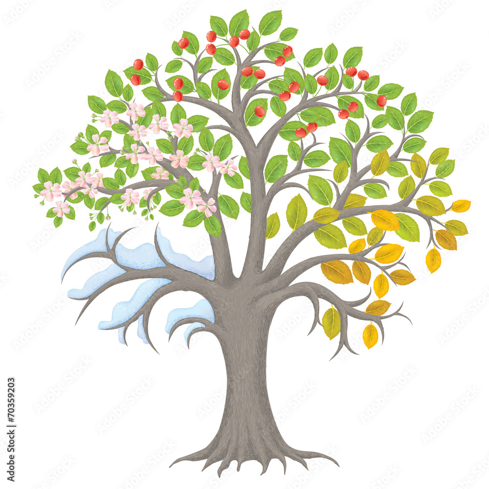 Obraz premium Four seasons tree