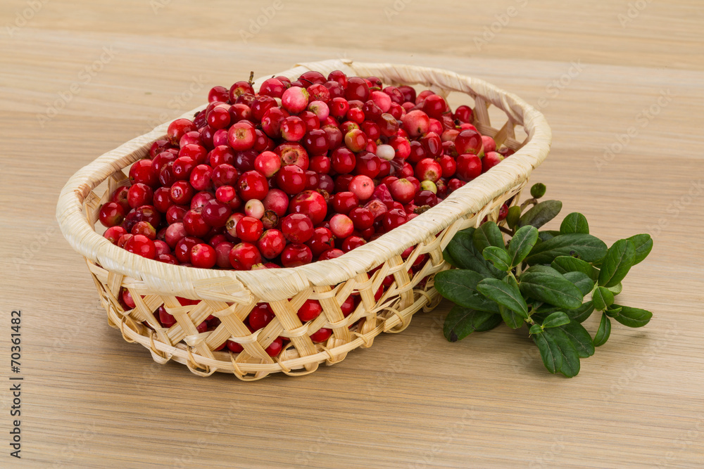 Cowberry Cowberry