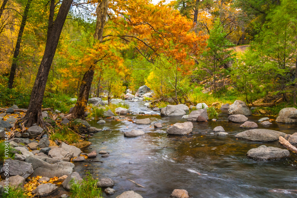 Sedona Foliage on a Cloudy Fall Day