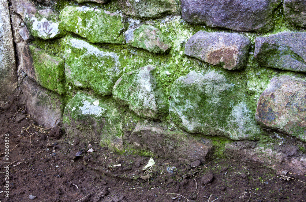 Green Moss Covering Curved Stone Retaining Wall