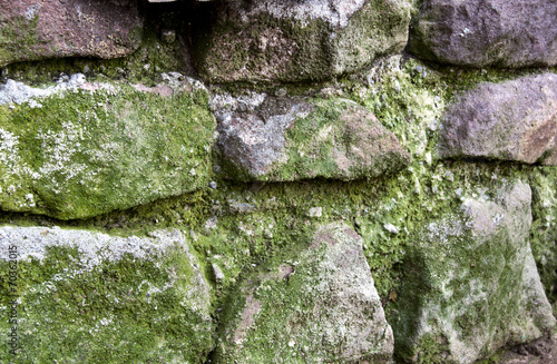 Stone Retaining Wall Covered in Green Moss