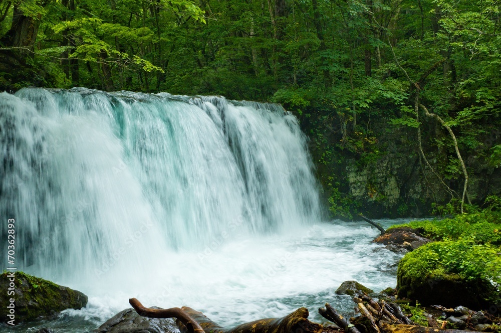 Obraz premium Wodospad w lesie