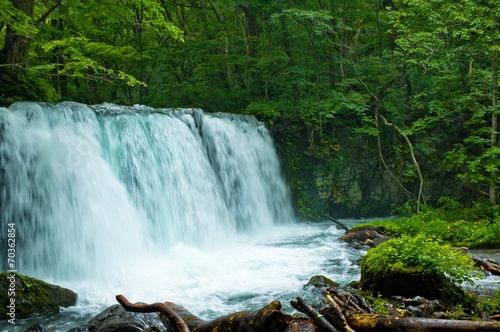 Waterfall of the forest