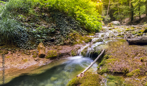 colorful landscape of rapid river greenery