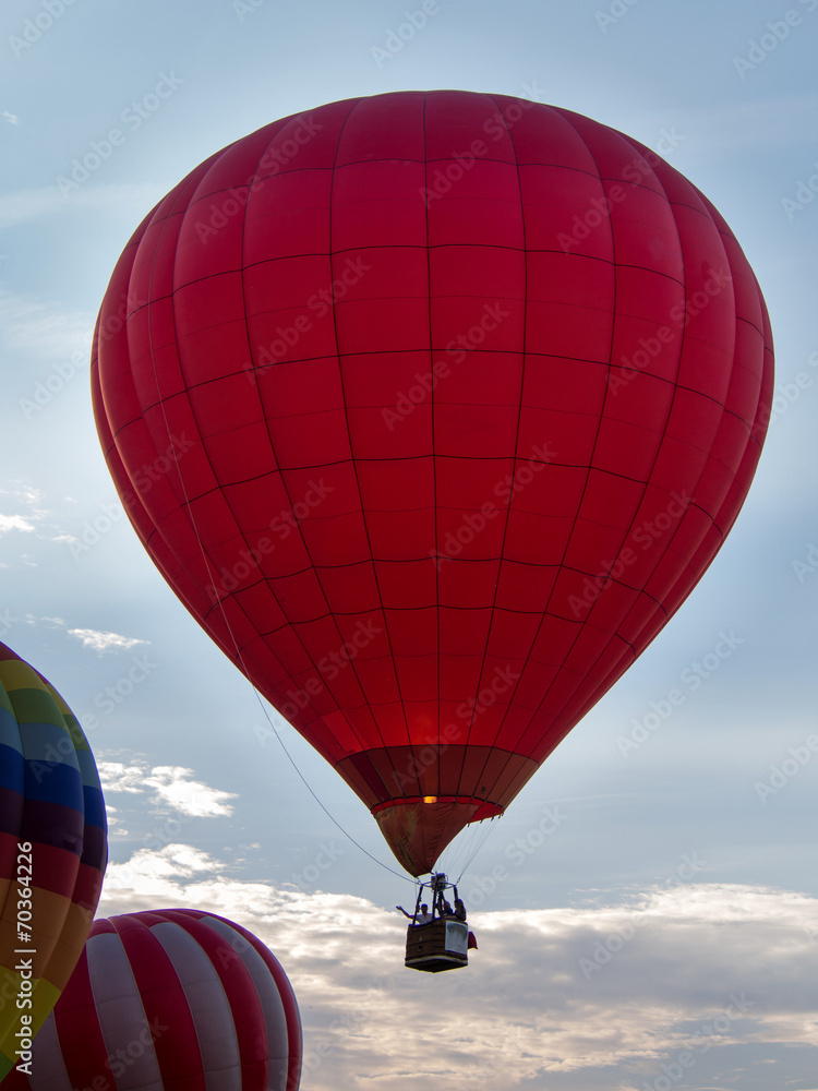 Obraz premium Montgolfiere #125