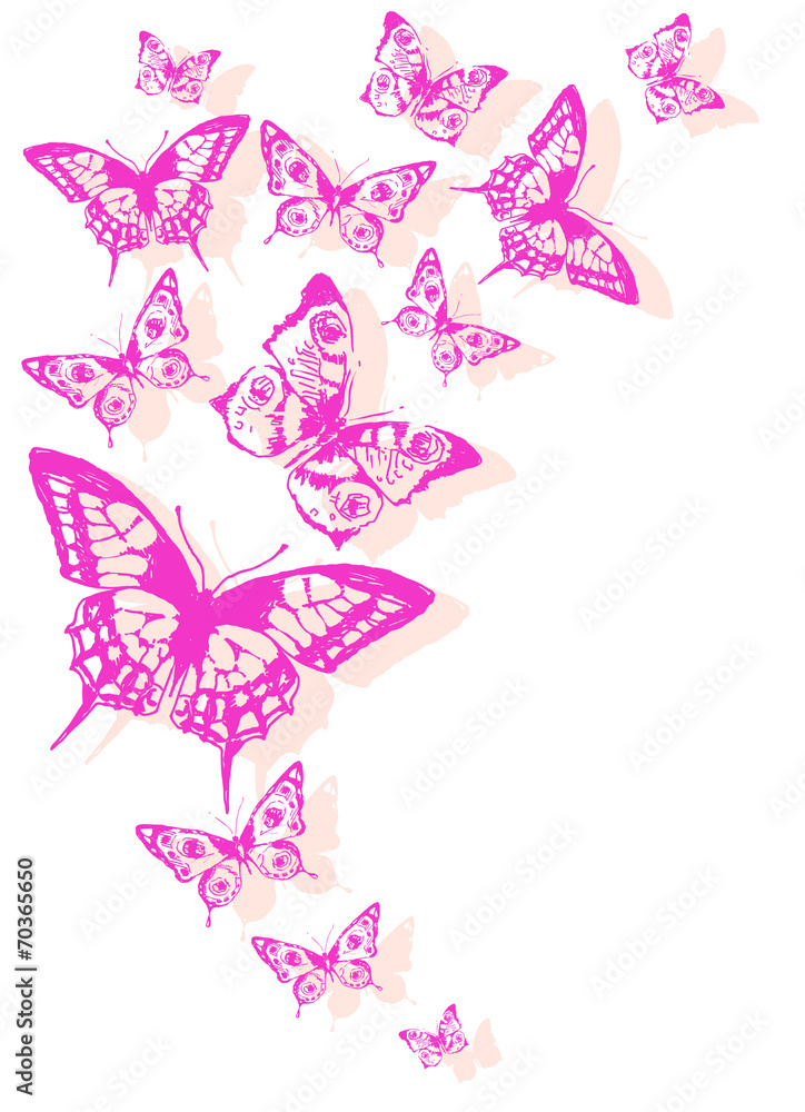 butterflies design butterflies design