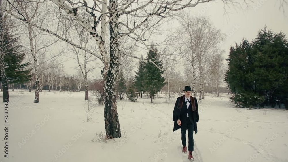 Stylish Man Walks on Nature Stylish Man Walks on Nature