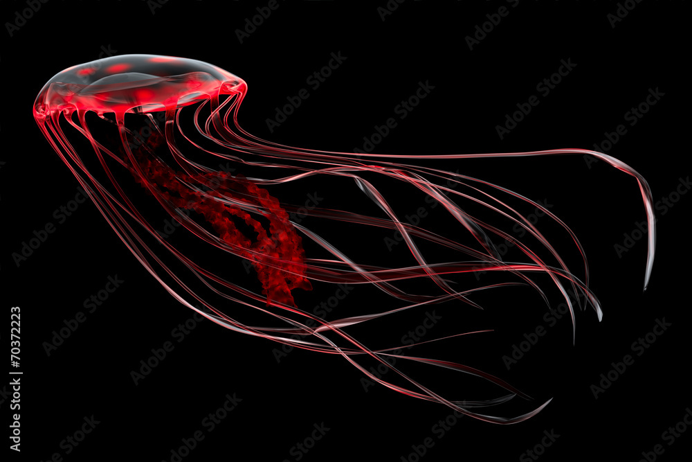 Obraz premium Czerwona meduza