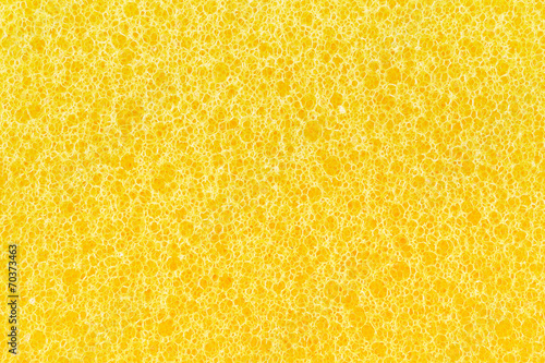Photography sponge texture