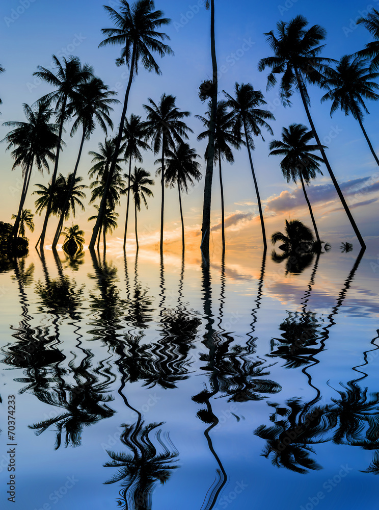 Coconut tree silhouette with sunset background