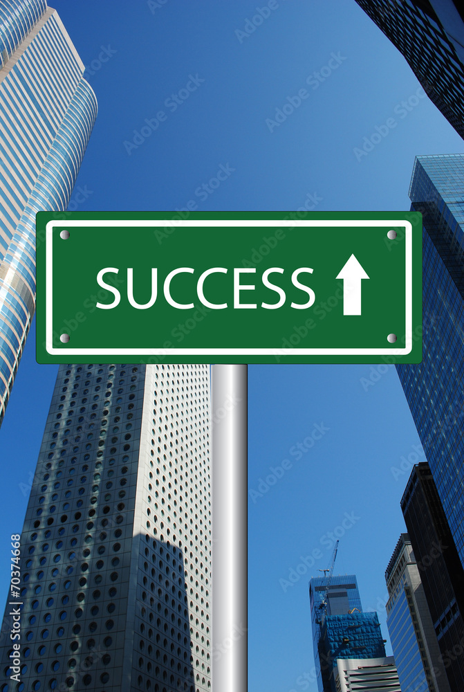 Obraz premium Success road sign