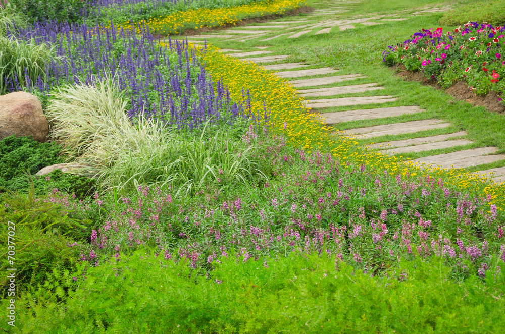 colorful flowers in beautiful nature park,Thailand