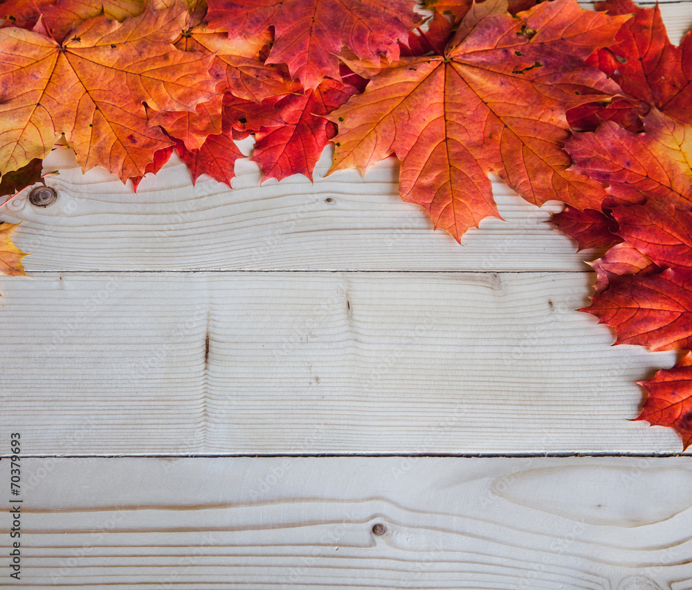 Autumn leaves over wooden background with copy space Autumn leaves over wooden background with copy space