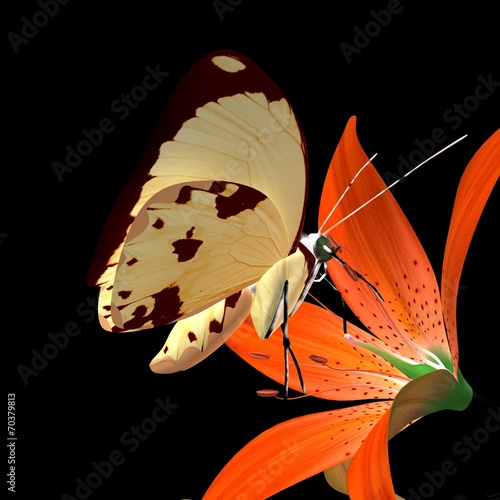 Fototapeta Naklejka Na Ścianę i Meble -  Cross pollination