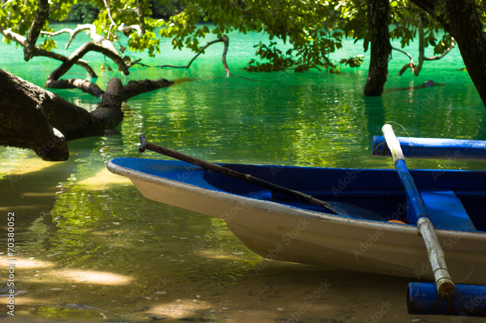 Obraz premium blue boat on green tropical water