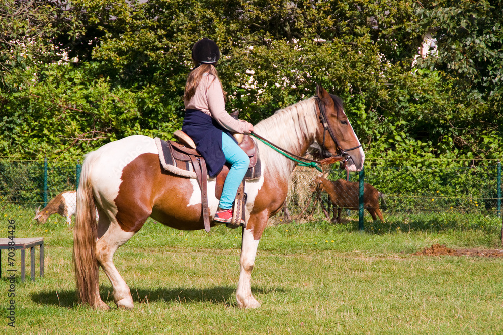Mädchen reitet auf einem Pony Pferd Mädchen reitet auf einem Pony Pferd