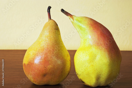 Two pears photo