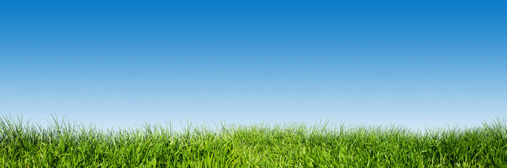 Wandcirkels Lente Groen grasveld onder blauwe lentehemel  © Photocreo Bednarek