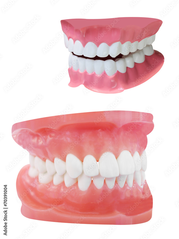 Obraz premium dentures