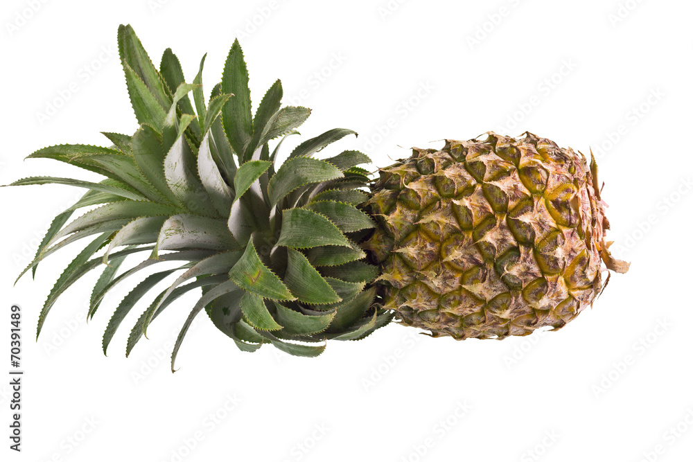 Pineapple