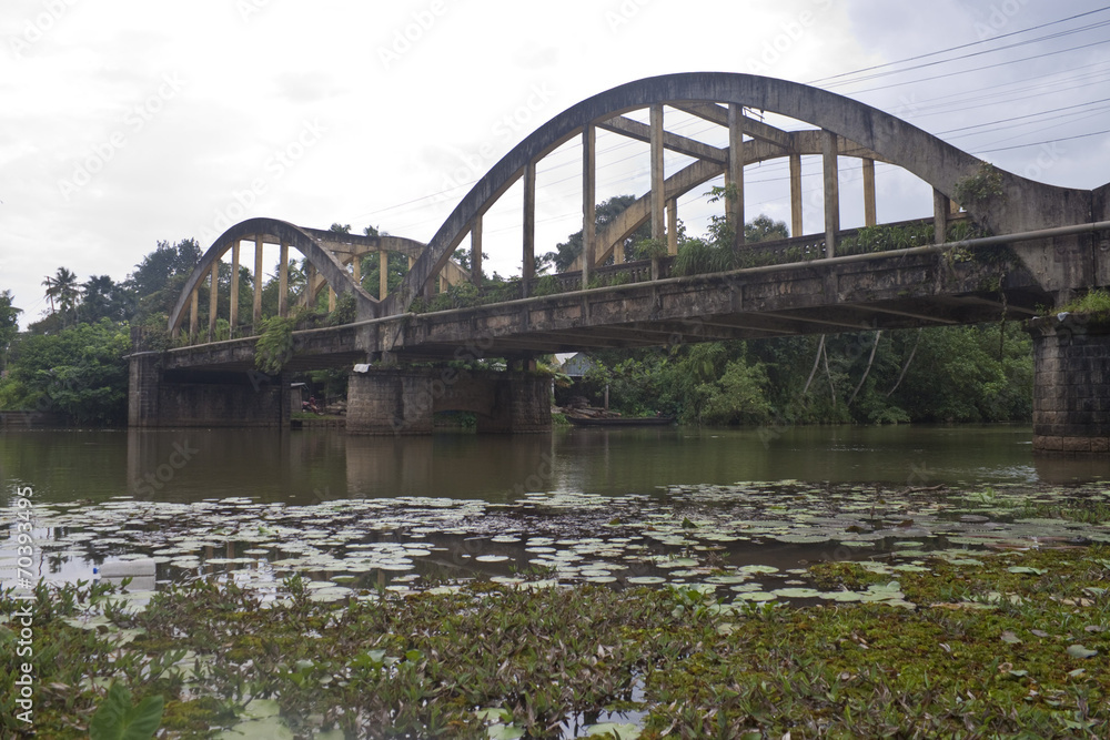 Naklejka premium Bridge over a canal in Backwaters, Kerala, India