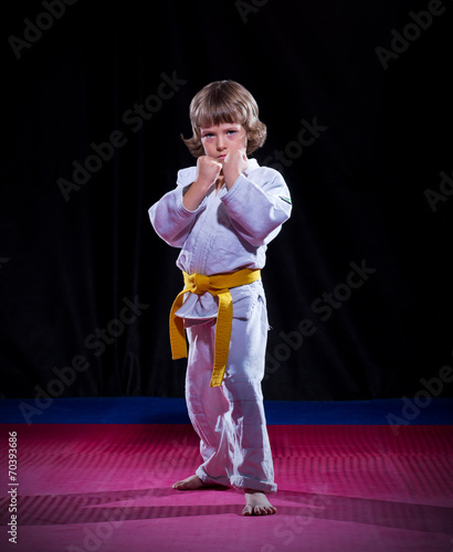 Little boy aikido fighter
