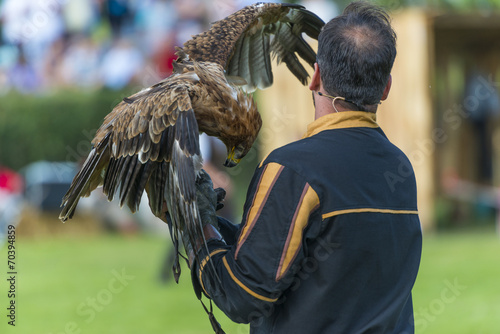aigle ravisseur - Spectacle de fauconnerie