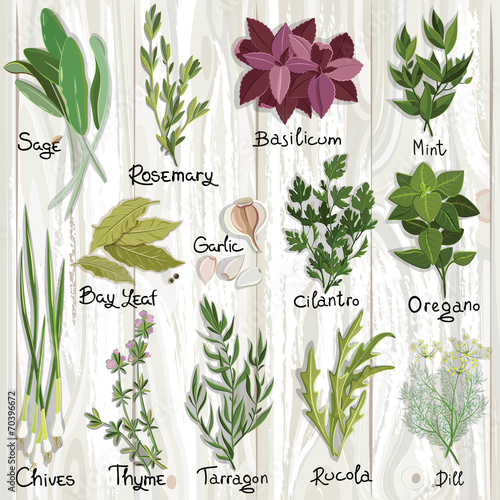 Herbs set