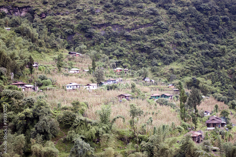 Village in a jungle, Sikkim, India