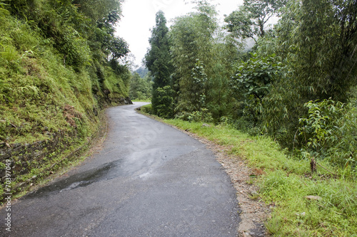 Road through rain forest in Sikkim, India