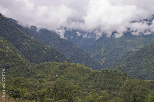 Rain forest covering mountains in Sikkim, India