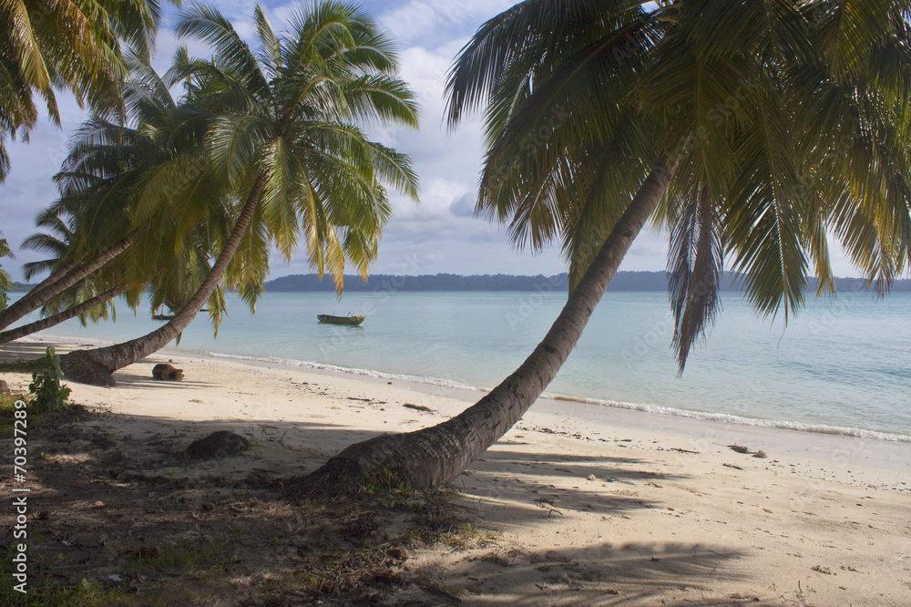 Tropical beach No. 5 on Havelock island (Andaman Islands, India) Tropical beach No. 5 on Havelock island (Andaman Islands, India)
