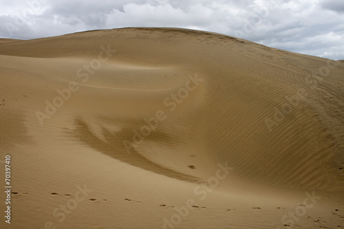 Sand dune at Thar desert in Rajasthan  India