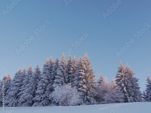 snow landscape winter