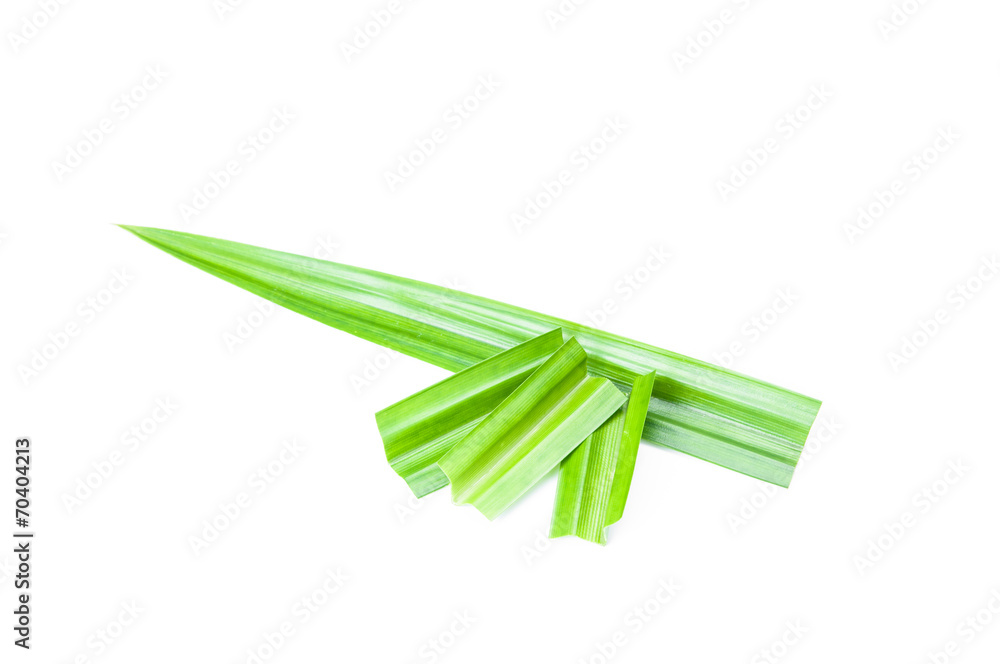 Fresh Pandan leaves on white background Fresh Pandan leaves on white background