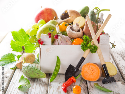 Healthy organic vegetable o...