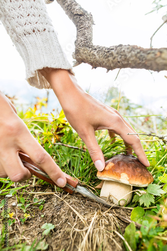 Young mushroom picker in the Bavarian alps