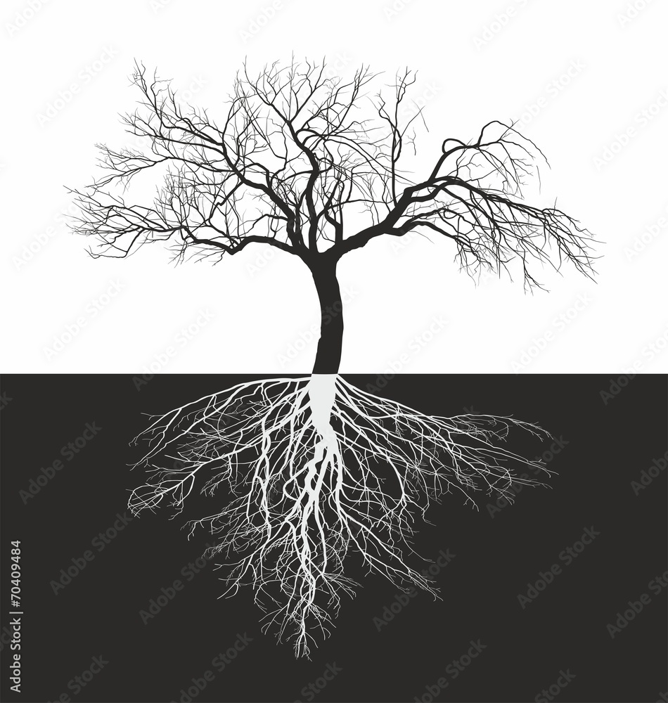TREE WITHOUT ROOTS ROOT visual data 5
