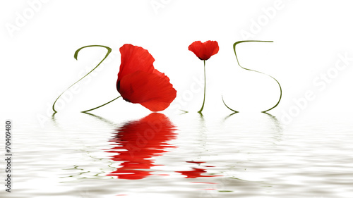 Happy new year (Poppy)