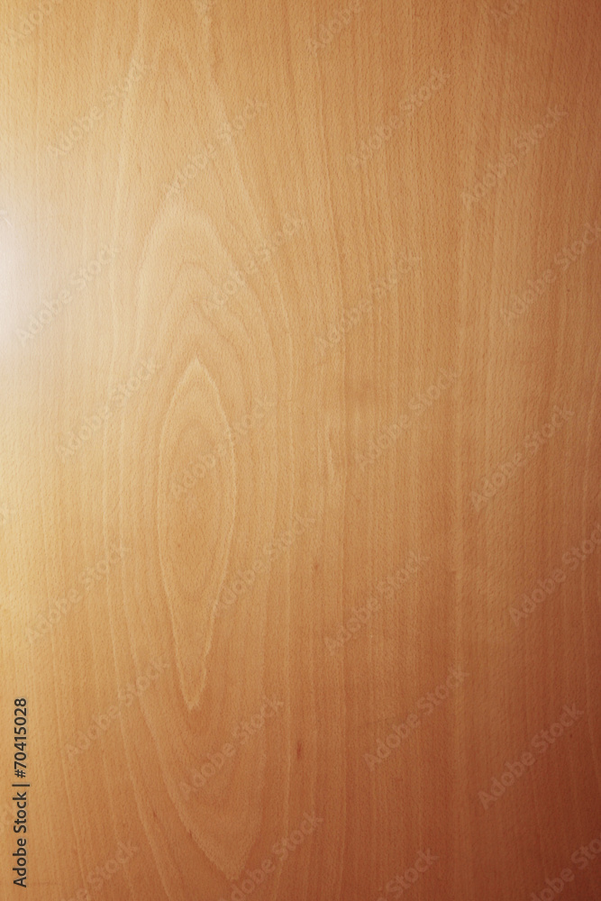 Birke Holz Hintergrund Birke Holz Hintergrund