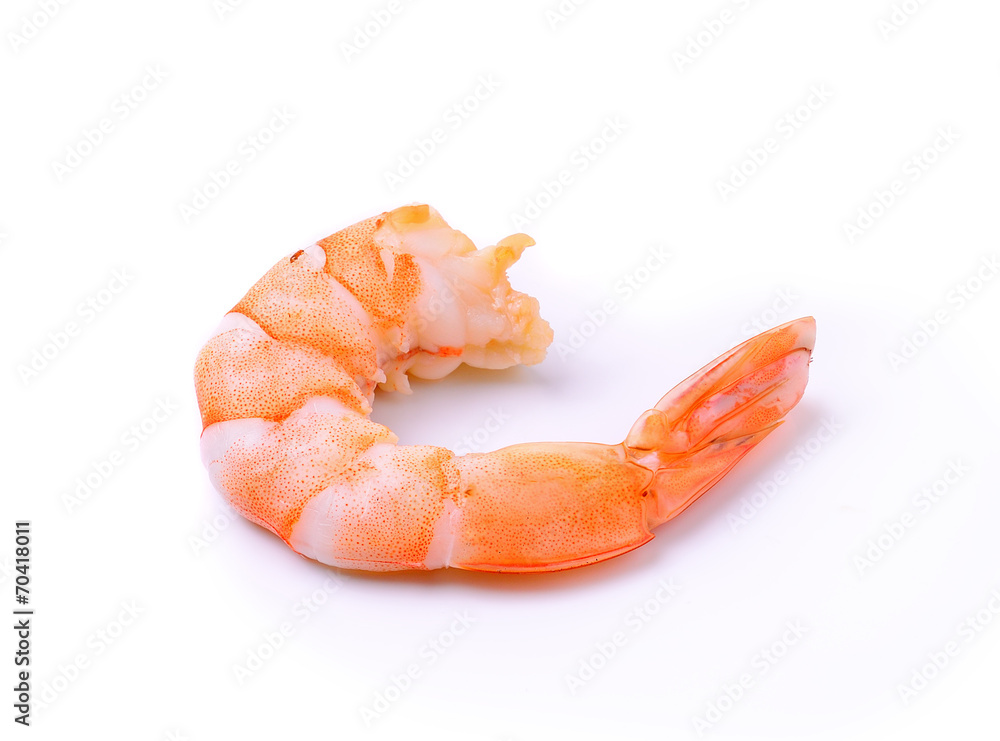 shrimps on a white background