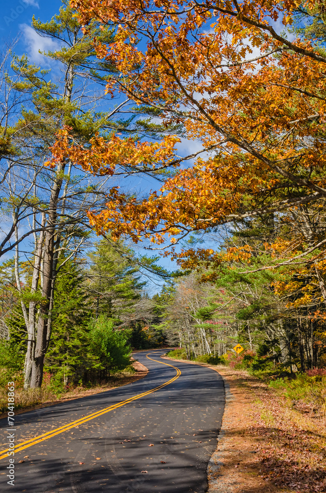 Winding autumn road in New England