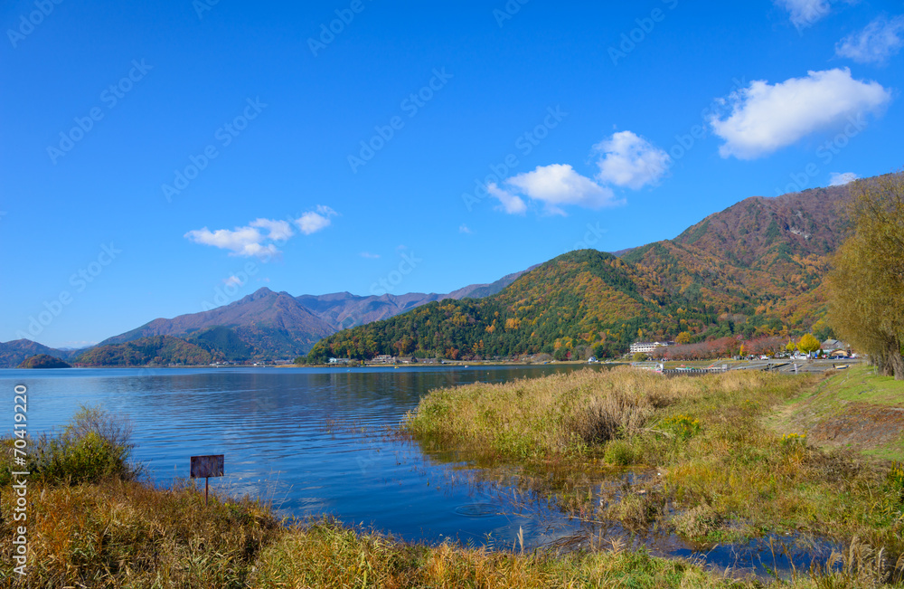Autumn leaves along the lake Kawaguchi